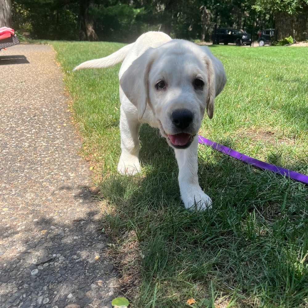 Meet your Posher, Ava
